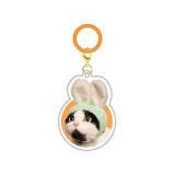 �ڤ��襤�� ���襤�� �ͤ������������ ���������ĥ��顼���ۤ��襤�� ���襤�� �ͤ��Τ��֤��� ���������㡼��