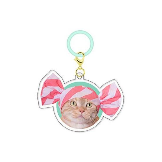 �ڤ��襤�� ���襤�� �ͤ������ǥ������ۤ��襤�� ���襤�� �ͤ��Τ��֤��� ���������㡼��