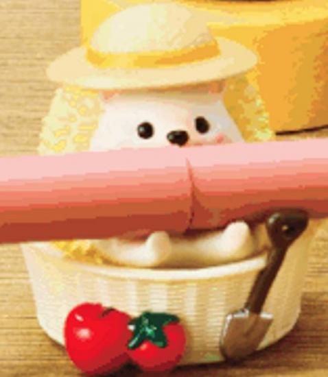 �ڲ��� (������)�ۥϥ�ͥ��ߤΥڥ󥹥����