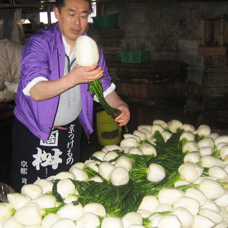 すぐき（木樽）】京都のお漬物は桝悟（ますご）のすぐき（木樽）を通販で