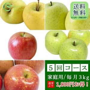 9月より☆4回コース ご家庭用 青森りんご3kg頒布会（定期便） ○9月