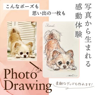 Photo Drawing【1頭】