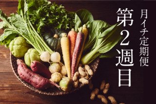 【定期便/第2火曜発送】季節の八ヶ岳野菜７〜9種セット（送料別）