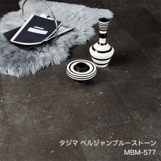 MBM-577<br>
ޥ륳쥯2022 <br>
[304.8x 609.6x 3mm x 18/(3.34ʿm)]<br>