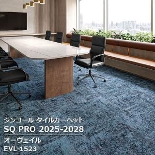 EVL-1521~EVL-1524<br>
<br>
󥳡 륫ڥå<br>
[SQ PRO2025-2028]<br>
50cm 16/

