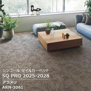 ARN-3061,ARN-3063<br>
̥<br>
󥳡 륫ڥå<br>
[SQ PRO2025-2028]<br>
50cm 20/