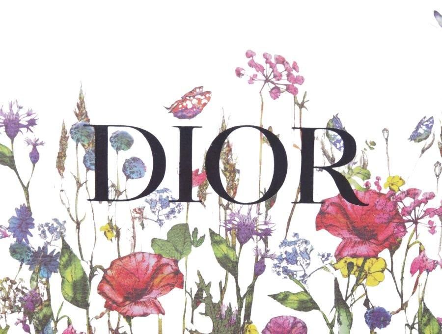 出品停止中　ディオール 封筒 レターセット クリスチャンディオール ミスディオール レターセット