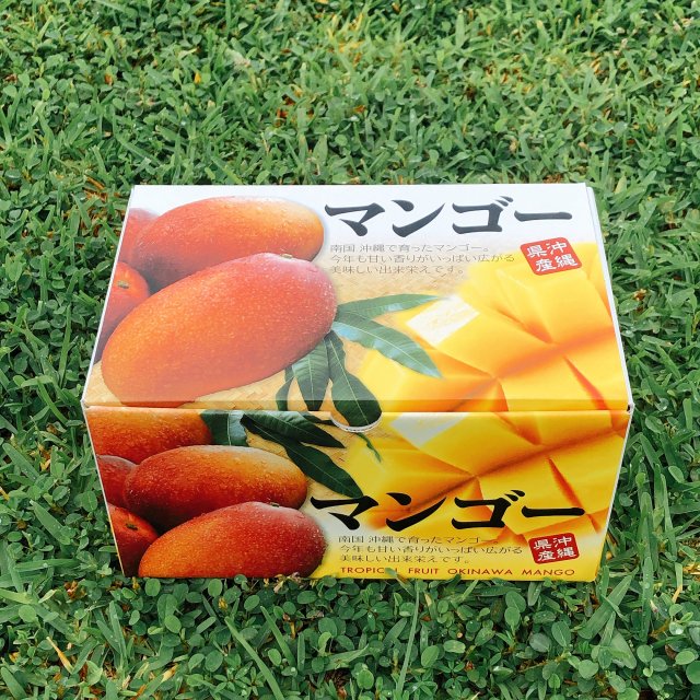 送料無料【優品】沖縄県産 完熟マンゴー1Kg（2〜3玉）化粧箱