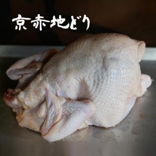 京赤地どり 丸鶏　丸鳥　中抜き　約2kg　送料無料
