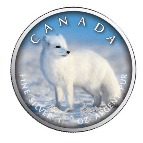2021年 カナダ メイプル 北極キツネ  1オンス カラー銀貨 カードケース付