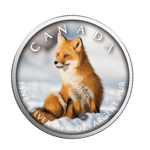 2019年 カナダ メイプル レッドフォックス 1オンス カラー銀貨 カードケース付