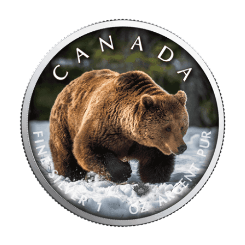 2019年 カナダ メイプル グリズリーベア  1オンス カラー銀貨 カードケース付