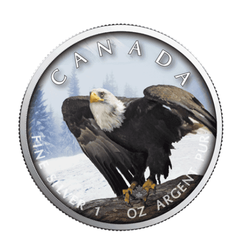 2019年 カナダ メイプル ハクトウワシ  1オンス カラー銀貨 カードケース付