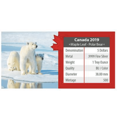 2019年 カナダ メイプル 北極クマ 1オンス カラー銀貨 限定500 専用