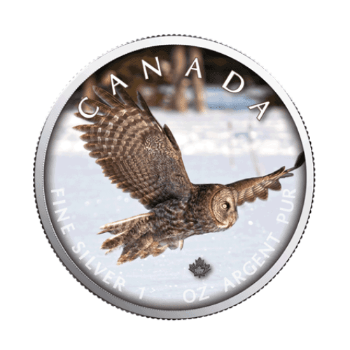 2019年 カナダ メイプル フクロウ 1オンス カラー銀貨 カードケース付