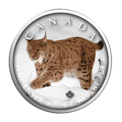 2019年 カナダ メイプル オオヤマネコ  1オンス カラー銀貨 カードケース付