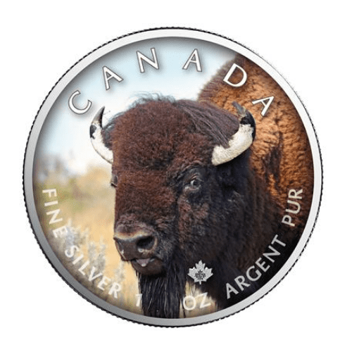 2021年 カナダ メイプル バイソン  1オンス カラー銀貨 限定500枚 専用ケース付