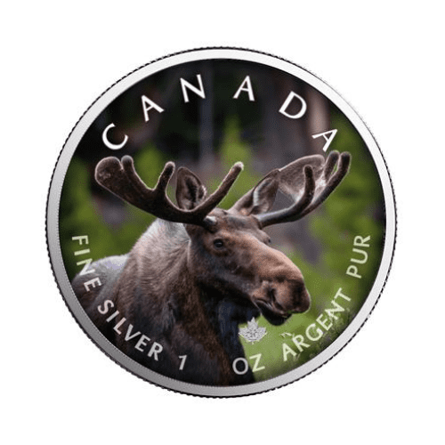 2021年 カナダ メイプル ヘラジカ  1オンス カラー銀貨 限定500枚 専用ケース付
