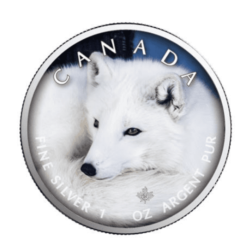 2021年 カナダ メイプル 北極キツネ  1オンス カラー銀貨 限定500枚 専用ケース付