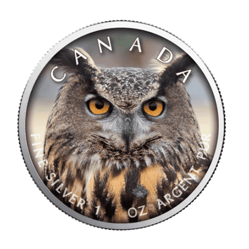 2019年 カナダ メイプル フクロウ 1オンス カラー銀貨 限定500枚 専用