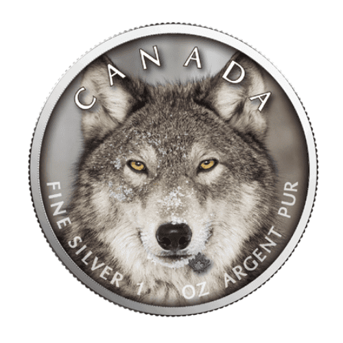 2019年 カナダ メイプル オオカミ  1オンス カラー銀貨 限定500枚 専用ケース付