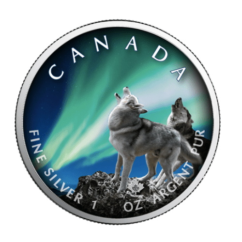 2020年 カナダ メイプル オーロラ・バンフ国立公園   1オンス 銀貨  カードケース付