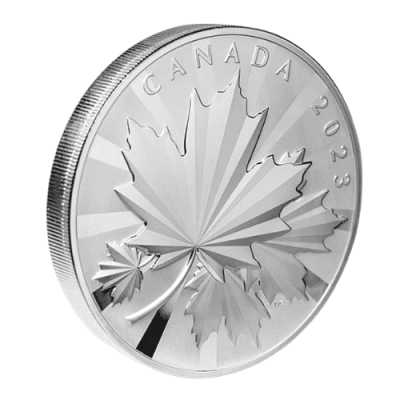 新発売 2022年 カナダ メイプルリーフ銀貨 1kgクリアケース付 新品｜恵比寿コイン