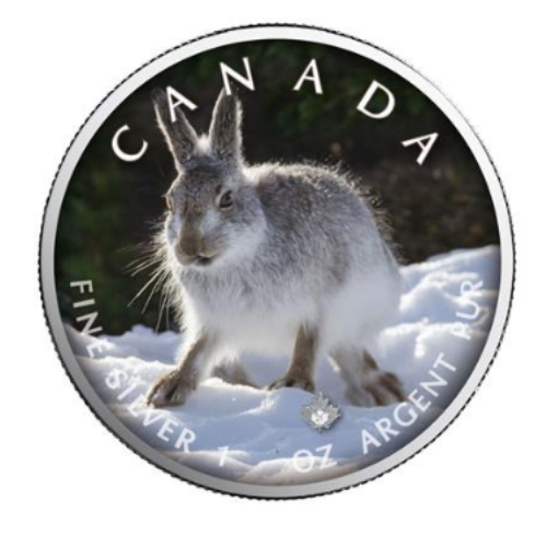 2021年 カナダ メイプル 雪うさぎ 1オンス カラー銀貨 カードケース付
