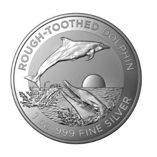 2023 オーストラリア 『シワハイルカ』 地金型銀貨 1オンス クリアケース付 限定25,000 新品