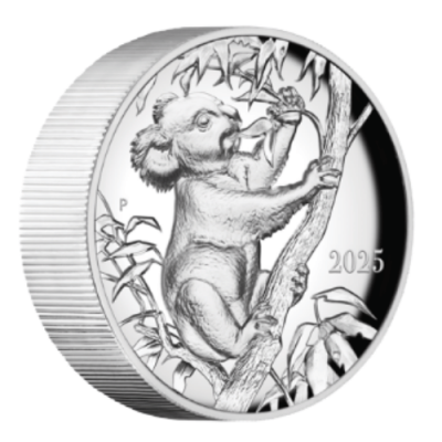 2025 ȥꥢ  ڥ륨ǥ إ10  - Ķ⤭Ħ϶ⷿ Ȣ  350  