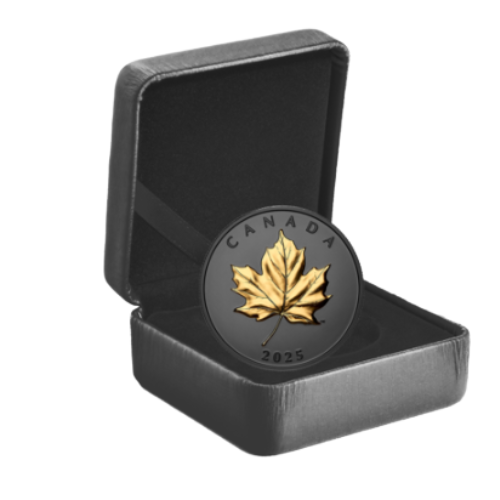 <img class='new_mark_img1' src='https://img.shop-pro.jp/img/new/icons11.gif' style='border:none;display:inline;margin:0px;padding:0px;width:auto;' />2025 ʥ ᥤץ ץ롼 1 ֥å åž夲 5,500 ѥܥå 