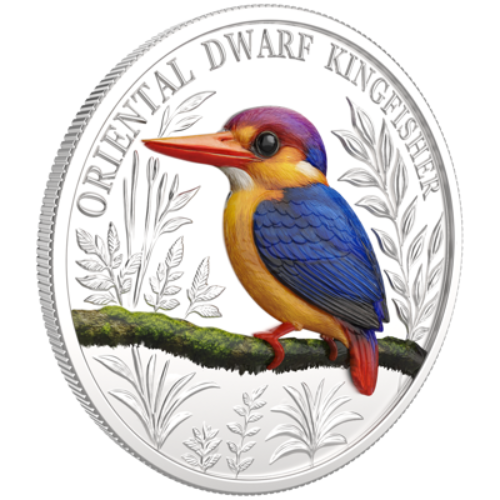 <img class='new_mark_img1' src='https://img.shop-pro.jp/img/new/icons11.gif' style='border:none;display:inline;margin:0px;padding:0px;width:auto;' />2025 ���󥷥���� �إߥĥ�ӥ��糧�� ���顼 �ץ롼�ն�� 1����  ���ѥܥå����� ����1000�� ����