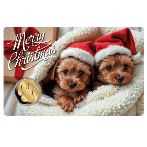 <img class='new_mark_img1' src='https://img.shop-pro.jp/img/new/icons11.gif' style='border:none;display:inline;margin:0px;padding:0px;width:auto;' />1/1000���� ��⥳����С� �إ��ꥹ�ޥ�������3000CFA�ե��