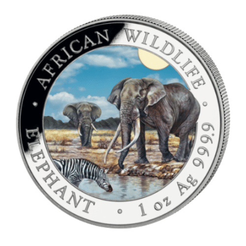 <img class='new_mark_img1' src='https://img.shop-pro.jp/img/new/icons11.gif' style='border:none;display:inline;margin:0px;padding:0px;width:auto;' />2026 ���ޥꥢ  ����ե���ȥ��顼��� 1���� ���ꥢ�������� ����