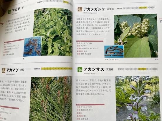 新刊 御薬園の薬用植物 - 会津松平氏庭園御薬園 Online Shop