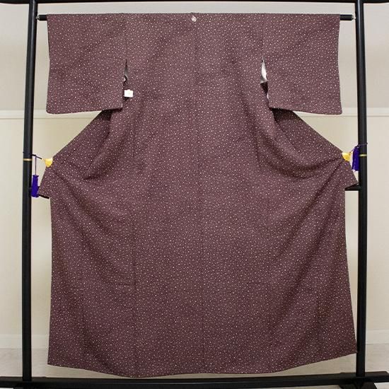淡い小豆色　楚々とした小紋 銀座【C-2809-2】絽 江戸小紋 白藤色 大小霰（反端付）（N