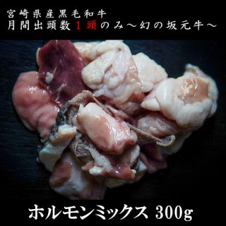 宮崎県産黒毛和牛/坂元牛 ホルモンミックス　(300g)