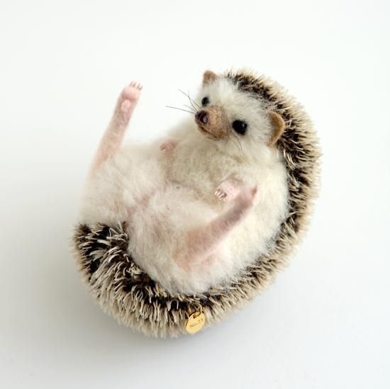 リアルハリネズミ シリアルNo.73