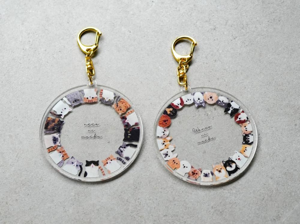 <img class='new_mark_img1' src='https://img.shop-pro.jp/img/new/icons8.gif' style='border:none;display:inline;margin:0px;padding:0px;width:auto;' />ڤ夦꡼ 륭ۥʤ󤳡ͤ