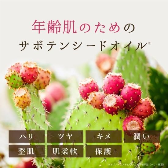 公式】nopa（ノパ） | 素数株式会社