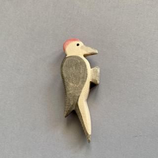 ڥȥϥޡWoodpecker | OS16810				