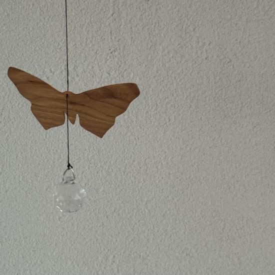 ͥ