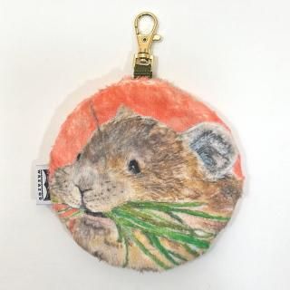 <img class='new_mark_img1' src='https://img.shop-pro.jp/img/new/icons13.gif' style='border:none;display:inline;margin:0px;padding:0px;width:auto;' />ե㡼ݡǴ ʥ