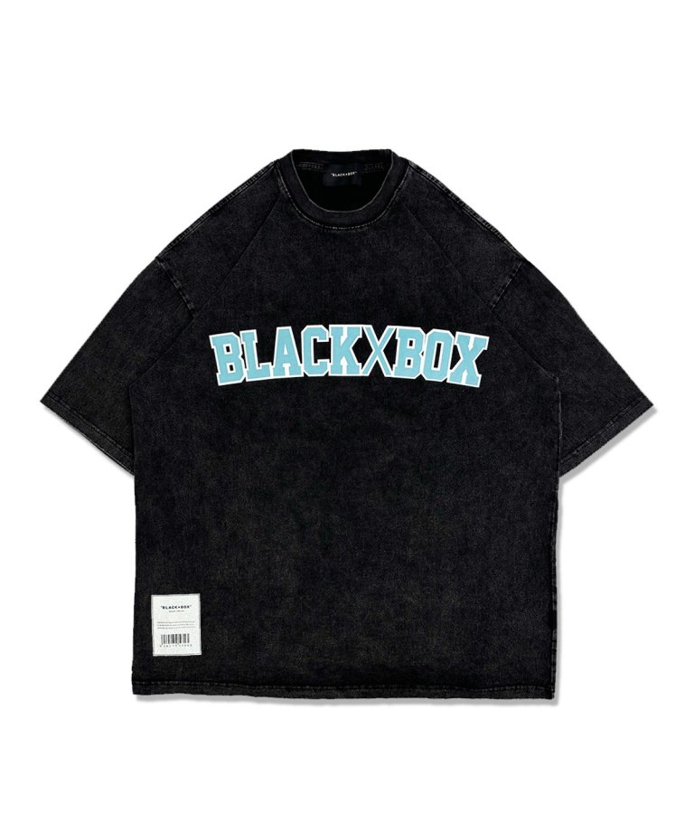 <img class='new_mark_img1' src='https://img.shop-pro.jp/img/new/icons1.gif' style='border:none;display:inline;margin:0px;padding:0px;width:auto;' />24SSǿBLACKBOX Vintage Front Arch LOGO T .VINTAGE/MINT