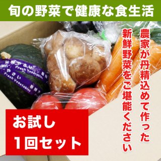 【送料無料】旬の野菜お試しセット (3〜4人のご家族様用)