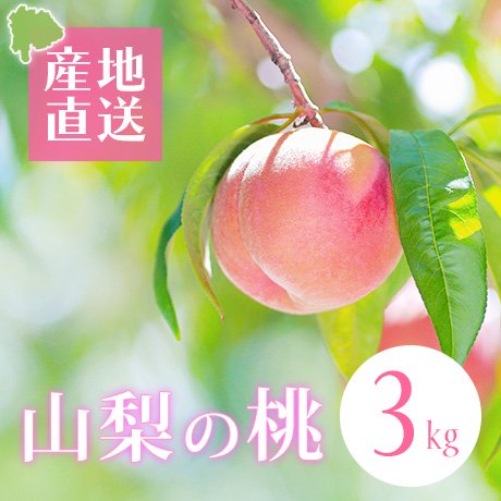 山梨の桃 3kg（7~8個入）※送料別 - 山梨県産の桃・葡萄｜旬の桃・葡萄産地直送・通販｜アメカファーム