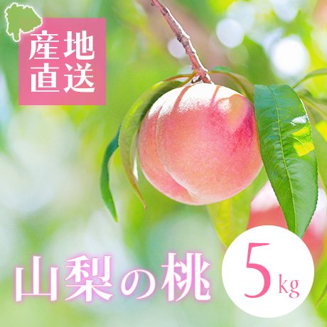 山梨の桃 5kg（12~15個入）※送料別 - 山梨県産の桃・葡萄｜旬の桃・葡萄産地直送・通販｜アメカファーム