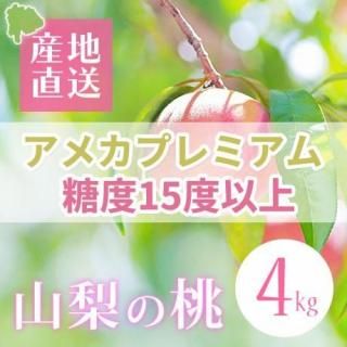 ᥫץߥ15ٰʾˡ  4kg9~11ˢ