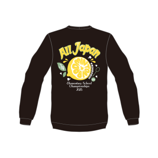 34񾮳Хɥߥȥ긢ǰ ȥ졼ʡ B