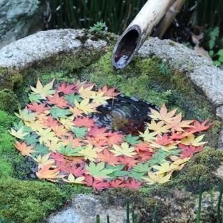 �ᵦ�����ǻ��Ƥ����������21��
